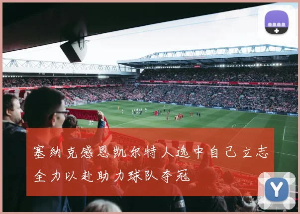 塞纳克感恩凯尔特人选中自己立志全力以赴助力球队夺冠