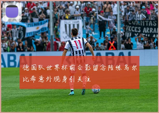 德国队世界杯前合影留念陪练乌尔比希意外现身引关注
