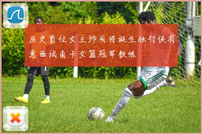 历史首位女主帅或将诞生独行侠有意面试南卡女篮冠军教练